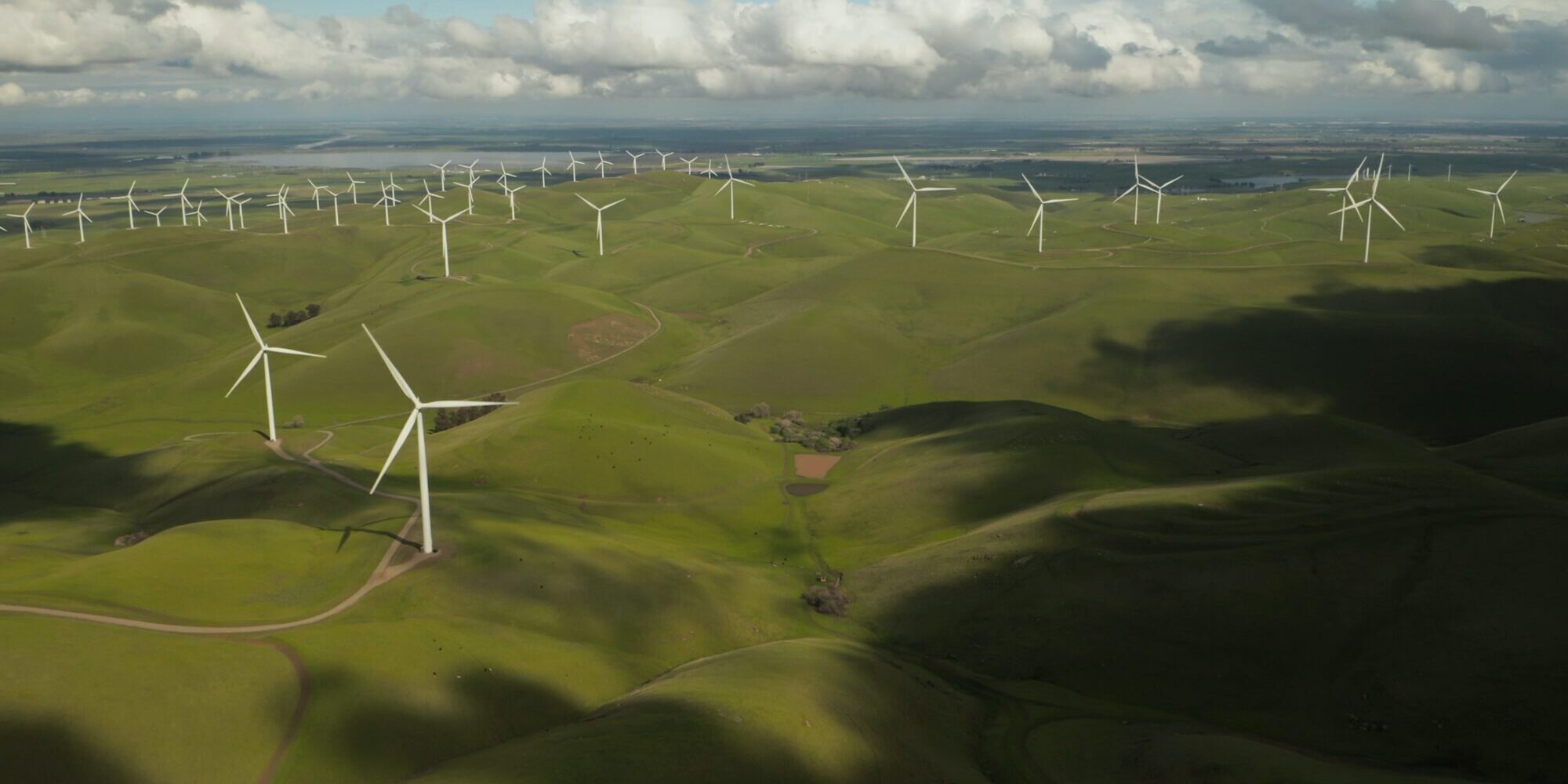 ESG. Photo by Tyler Casey on Unsplash ESG. Photo by Tyler Casey on Unsplash