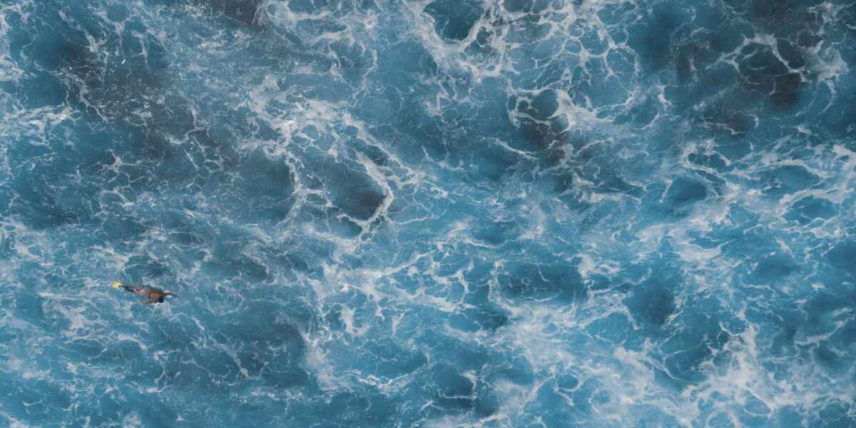 Il controllo del rischio di portafoglio